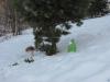 solonovka060311_00108_t1.jpg