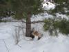 solonovka060311_00111_t1.jpg