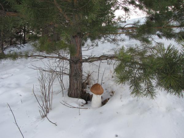 solonovka060311_00111.jpg