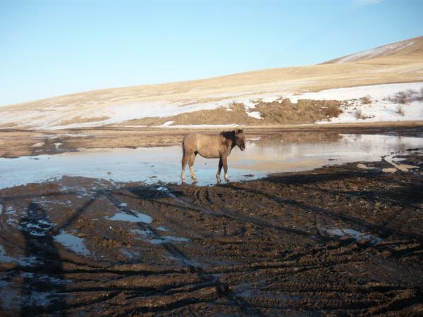 4x4-3D-201100018.jpg