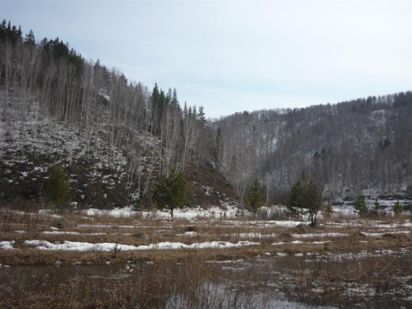 4x4-3D-201100049.jpg