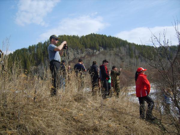 4x4-3D-201100116.jpg
