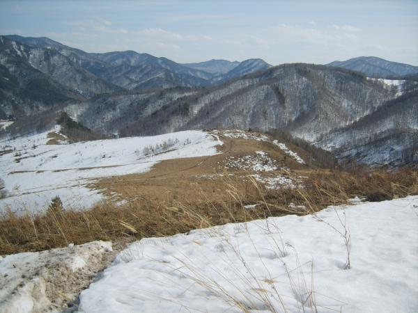 4x4-3D-201100169.jpg
