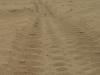 baykal2010_00188_t1.jpg