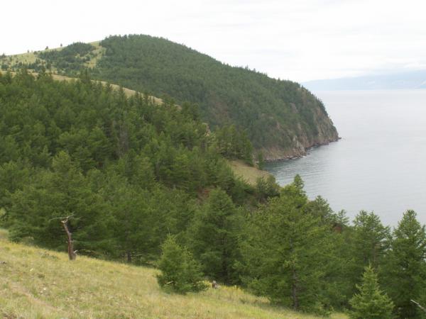 baykal2010_00262.jpg