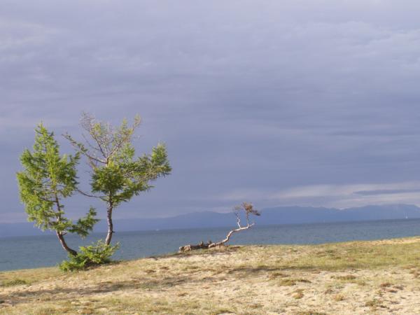 baykal2010_00272.jpg