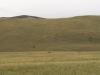 baykal2010_00275_t1.jpg