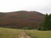 baykal2010_00281_t1.jpg
