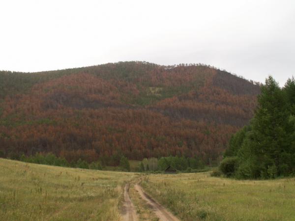 baykal2010_00281.jpg