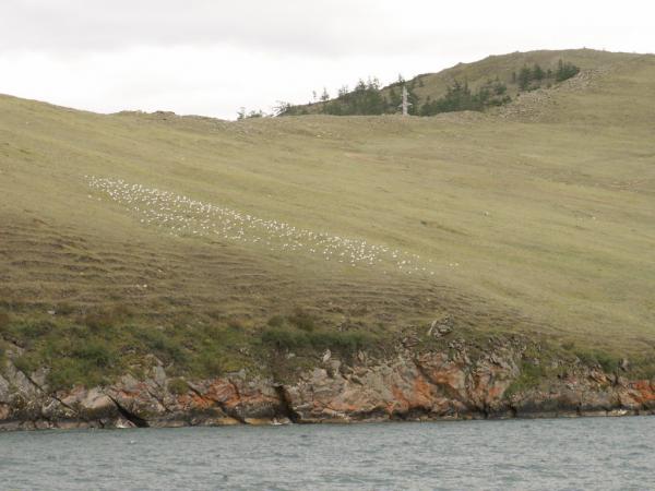 baykal2010_00295.jpg
