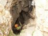 baykal2010_00304_t1.jpg