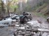 chernovaia2011_00127_t1.jpg