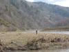chernovaia2011_00130_t1.jpg