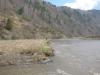 chernovaia2011_00131_t1.jpg