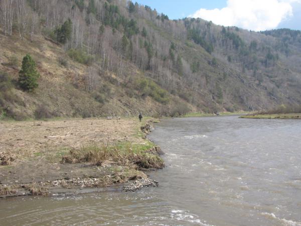 chernovaia2011_00131.jpg