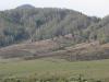 smolensk-2010_0000115_t1.jpg