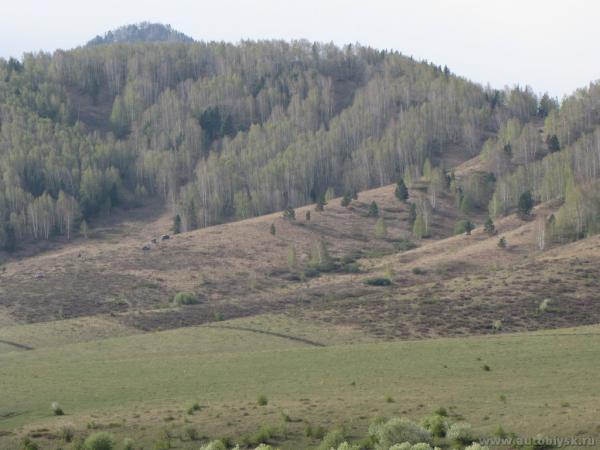 smolensk-2010_0000115.jpg