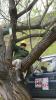 smolensk-2010_0000261_t1.jpg