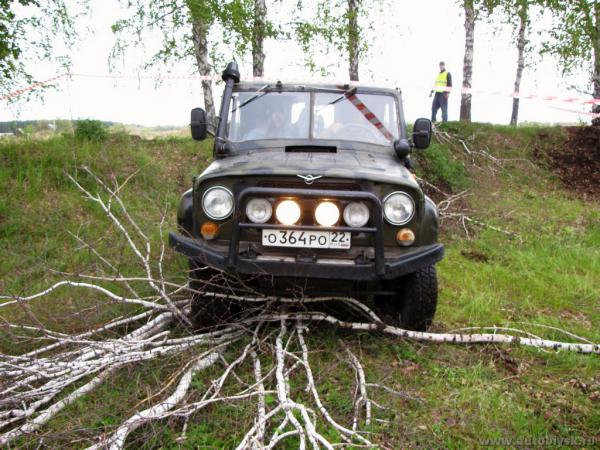 bizon_20110000042.jpg