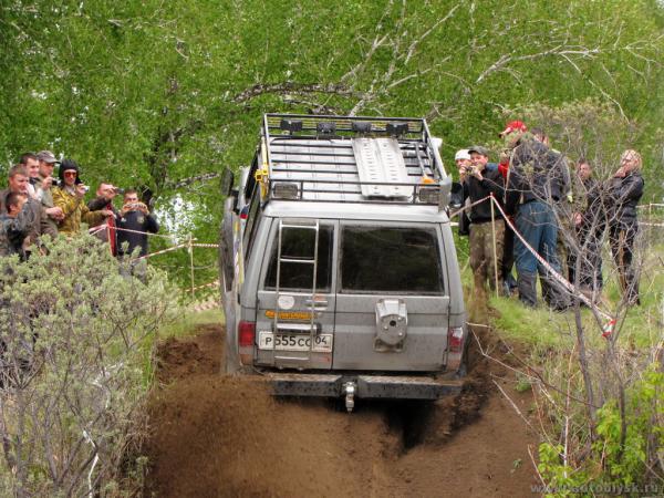 bizon_20110000065.jpg