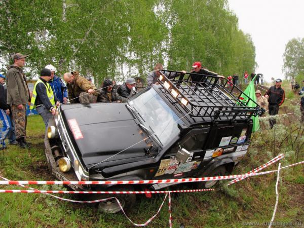 bizon_20110000078.jpg