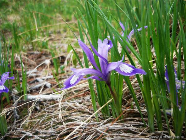 9-13_6_20110000032.jpg