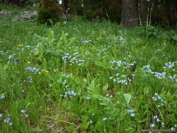 9-13_6_20110000033.jpg
