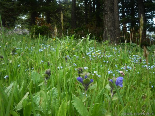 9-13_6_20110000034.jpg