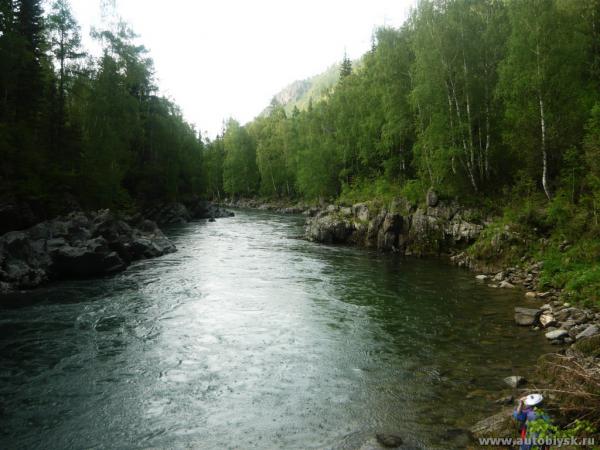 9-13_6_20110000044.jpg
