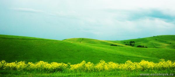 9-13_6_20110000055.jpg