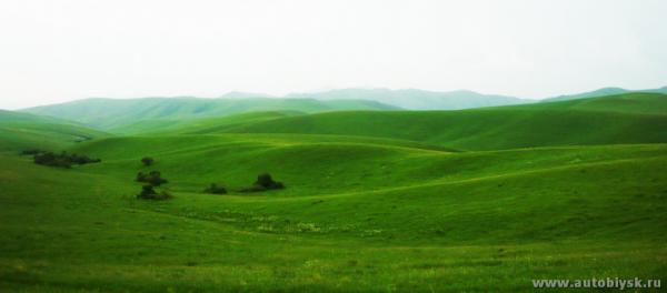 9-13_6_20110000059.jpg