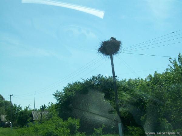 baki-kiev-20110000052.jpg