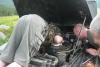 saygonosh-16-20-11_0000034_t1.jpg