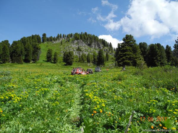 saygonosh-16-20-11_0000053.jpg