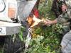 saygonosh-16-20-11_0000071_t1.jpg