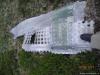 saygonosh-16-20-11_0000088_t1.jpg