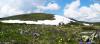 saygonosh-16-20-11_0000089_t1.jpg