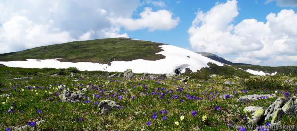 saygonosh-16-20-11_0000089.jpg