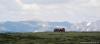 saygonosh-16-20-11_0000095_t1.jpg