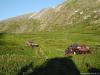 saygonosh-16-20-11_0000102_t1.jpg