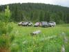 saygonosh-16-20-11_0000104_t1.jpg