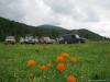 saygonosh-16-20-11_0000105_t1.jpg