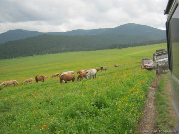 saygonosh-16-20-11_0000108.jpg