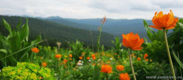 saygonosh-16-20-11_0000109.jpg