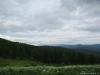 saygonosh-16-20-11_0000112_t1.jpg