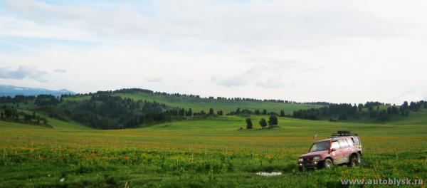 saygonosh-16-20-11_0000116.jpg