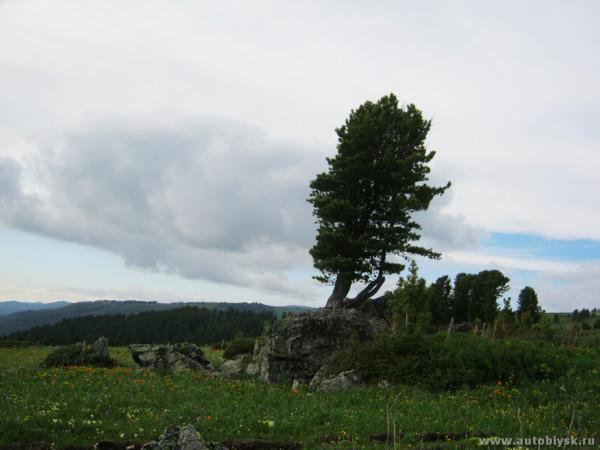 saygonosh-16-20-11_0000117.jpg