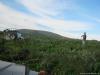 saygonosh-16-20-11_0000127_t1.jpg