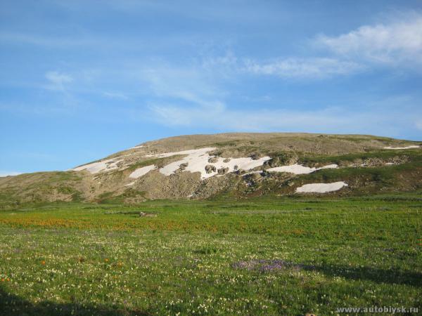saygonosh-16-20-11_0000129.jpg
