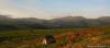 saygonosh-16-20-11_0000134_t1.jpg